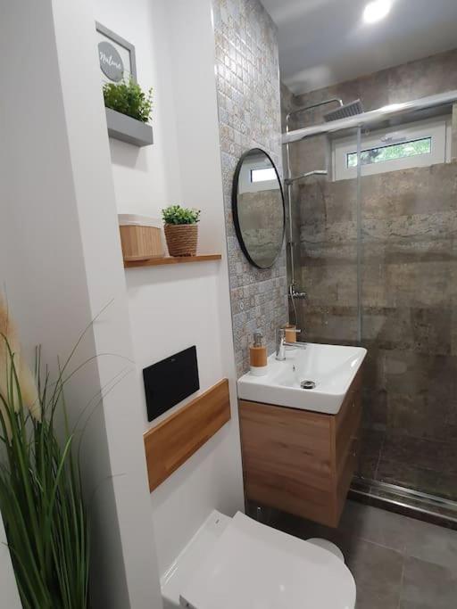 Apartament Ama Hermannstadt Exterior foto